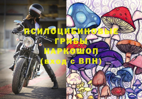 mdpv Белокуриха