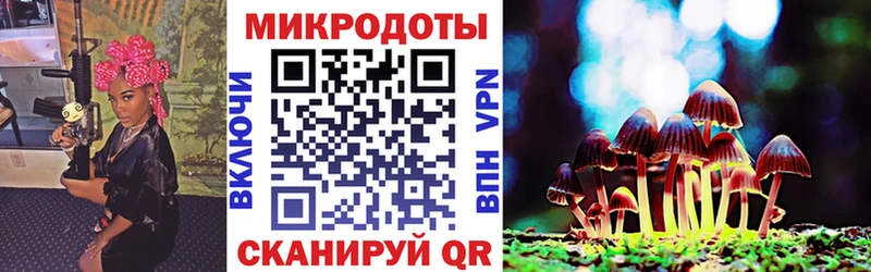 Галлюциногенные грибы мухоморы  blacksprut ссылки  Славгород 