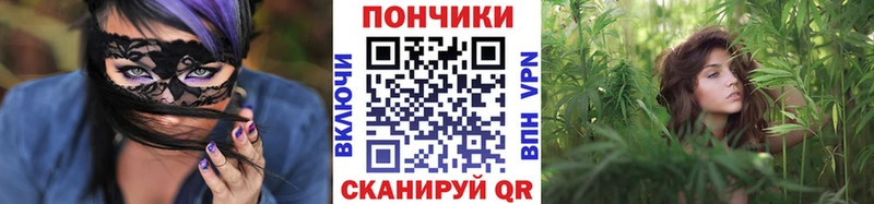 Бошки Шишки план  OMG маркетплейс  Славгород 